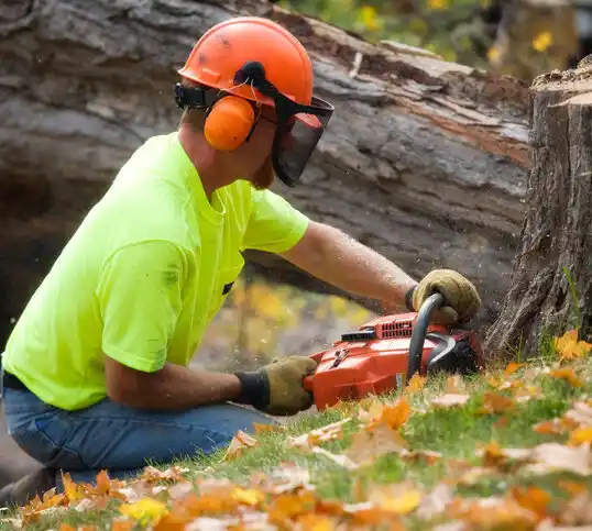 tree services West Hempstead